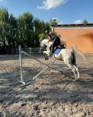 Arabo castrone mezza fida o fida completa