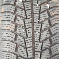 gomme da neve 