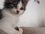 Immagine 4