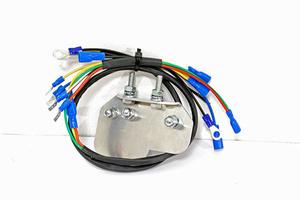 SBINDOLA: Staffe centraline vespa