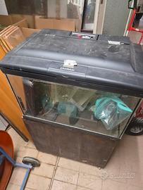 Acquario 80 litri