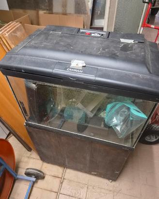 Acquario 80 litri