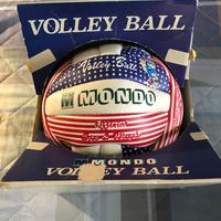 Pallone volley