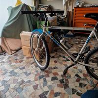 Biciclette mtb 7v