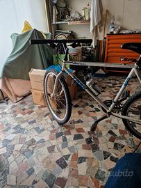 Biciclette mtb 7v
