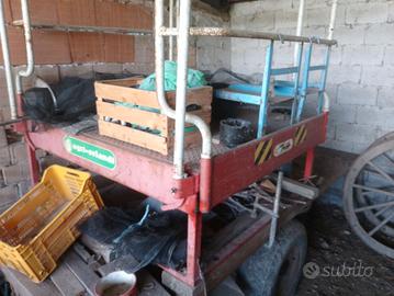 caro raccolta trainabile