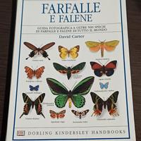 FARFALLE E FALENE - DAVID CARTER - 2003.