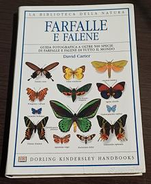 FARFALLE E FALENE - DAVID CARTER - 2003.