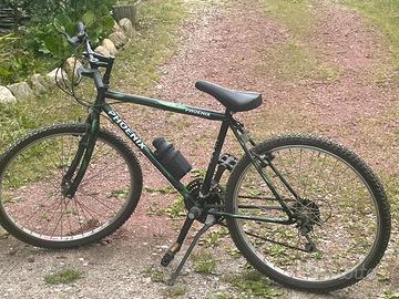 MTB Phoenix 