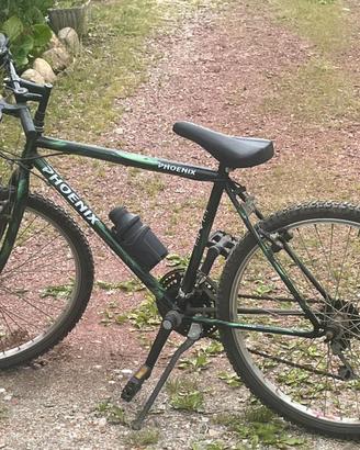 MTB Phoenix 
