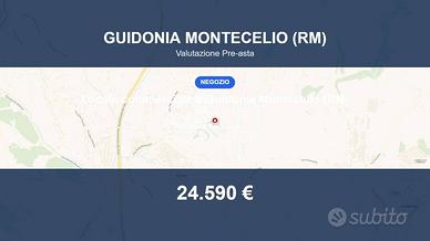 Immobile in asta di 53 m² a Guidonia Montecelio