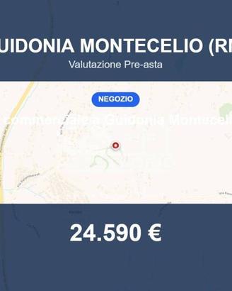 Immobile in asta di 53 m² a Guidonia Montecelio