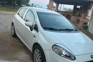 Punto 1.3 multijet