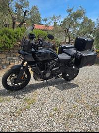 Harley Davidson Panamerica Special 