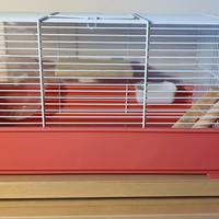 Gabbia per piccoli roditori 