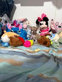 Chihuahua mini mini toy