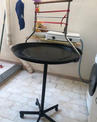 trespolo +gabbia con accessori per pappagallini