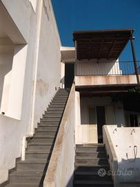 FALL 3/2014 Trib Barcellona PG - LOTTO 23