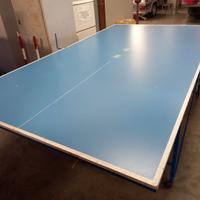Tavolo da Ping Pong