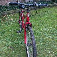 Mountain Bike Shadow 7005