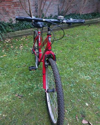 Mountain Bike Shadow 7005