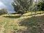 Immagine 25