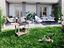 Immagine 21