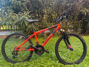 Bici MTB ruote 24