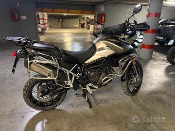 Triump tiger 900 rally pro 2023
