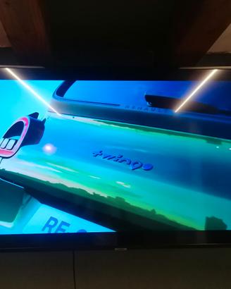 TV Samsung 55 pollici