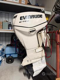 Motore evinrude 40cv e-tec