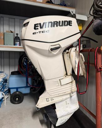 Motore evinrude 40cv e-tec