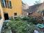 Immagine 10