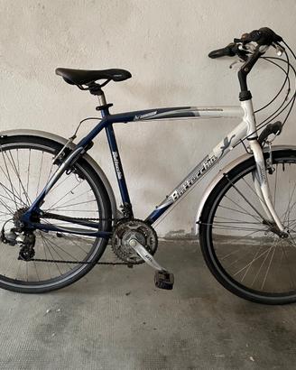 Bicicletta bottecchia