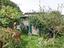 Immagine 14