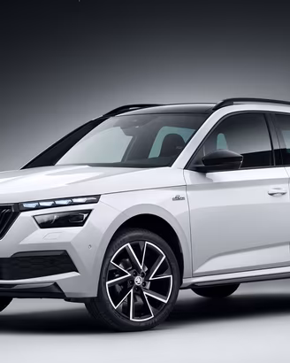 Ricambi Skoda Kamiq