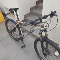 2 biciclette usate poco 