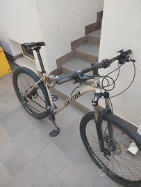 2 biciclette usate poco 
