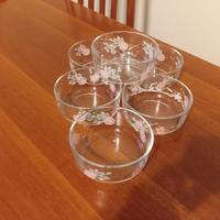 set 6 ciotoline trasparenti con fiori rosa 