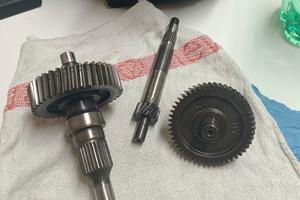 ingranaggi piaggio Beverly 