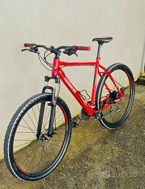 Bici mtb lombardo