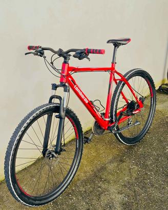 Bici mtb lombardo