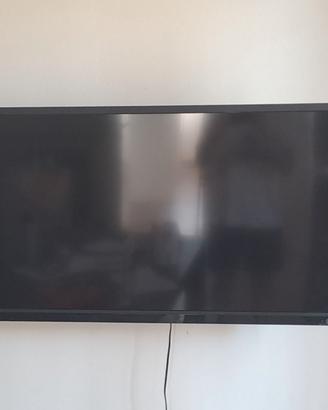 2 TV LCD  da 42'' con supporto da parete