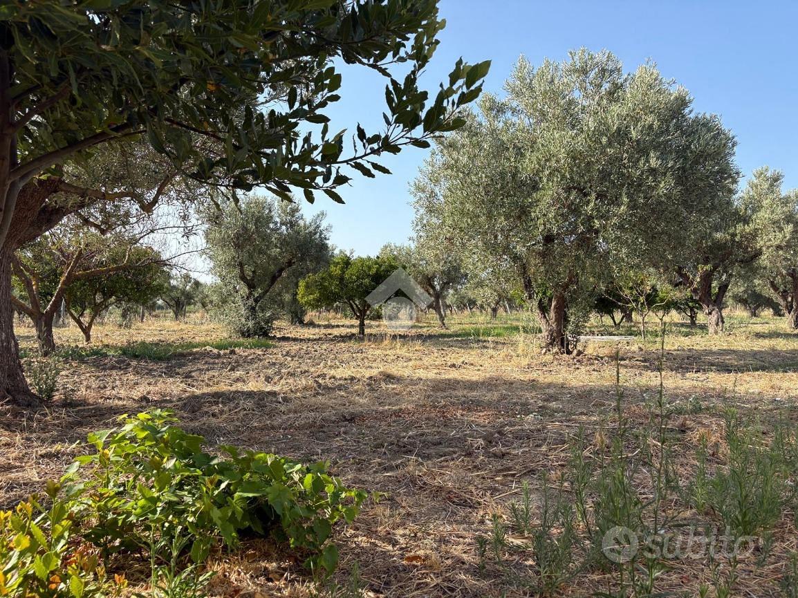 TER. AGRICOLO A BELCASTRO - Vista 4