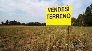 Terreno agricolo e oliveto piu' locale