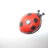 Coccinella magnetica plastica TOTAL per collezione