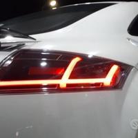 Fari Posteriori TUBE LED AUDI TT 8J