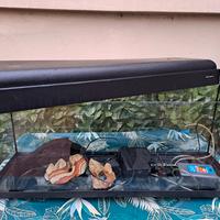Acquario 100 lt