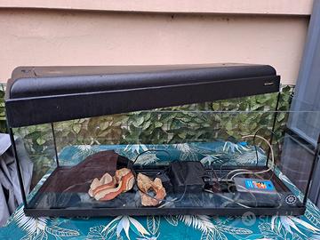 Acquario 100 lt