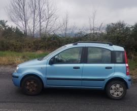Panda 2006